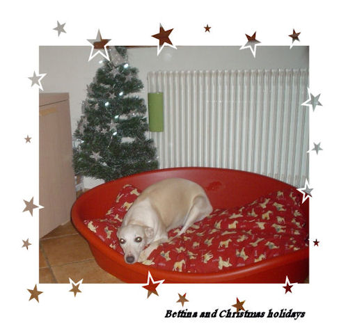 20091213_4.JPG