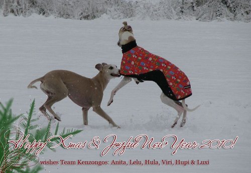 anitasandquistweihnachten2009.jpg