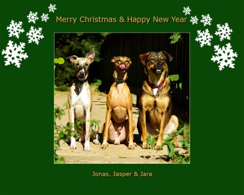jjj-weihnachtskarte_2009.jpg