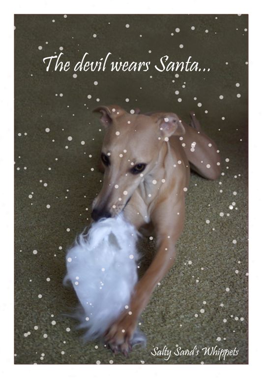 kerstkaart-salty-sands-2009.jpg