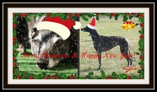 melanieweihnachten2009.jpg