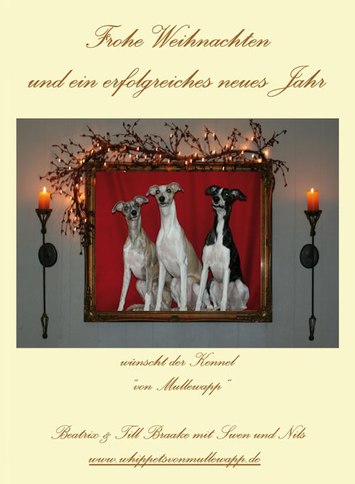 mullewappweihnachten-2009.JPG