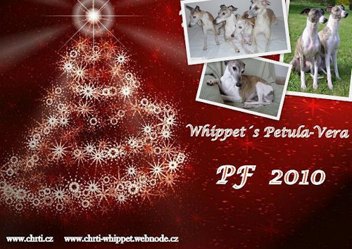 petulaverawhippetsweihnachten-2009.jpg