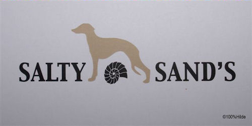 salty-sands-copy-klein1.jpg