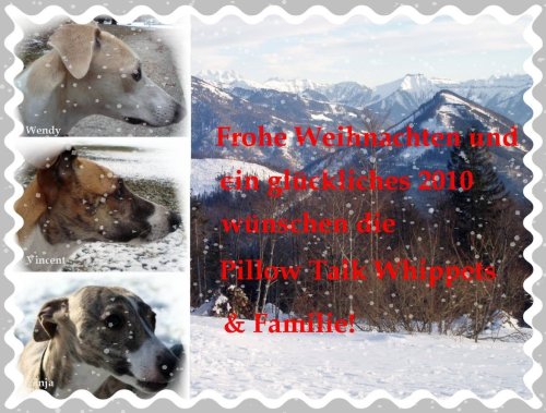 weihnachtskarte2009.jpg