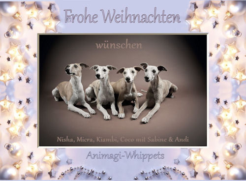 weihnachtwn-animagi-2011.jpg